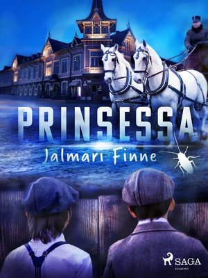 cover image of Prinsessa
